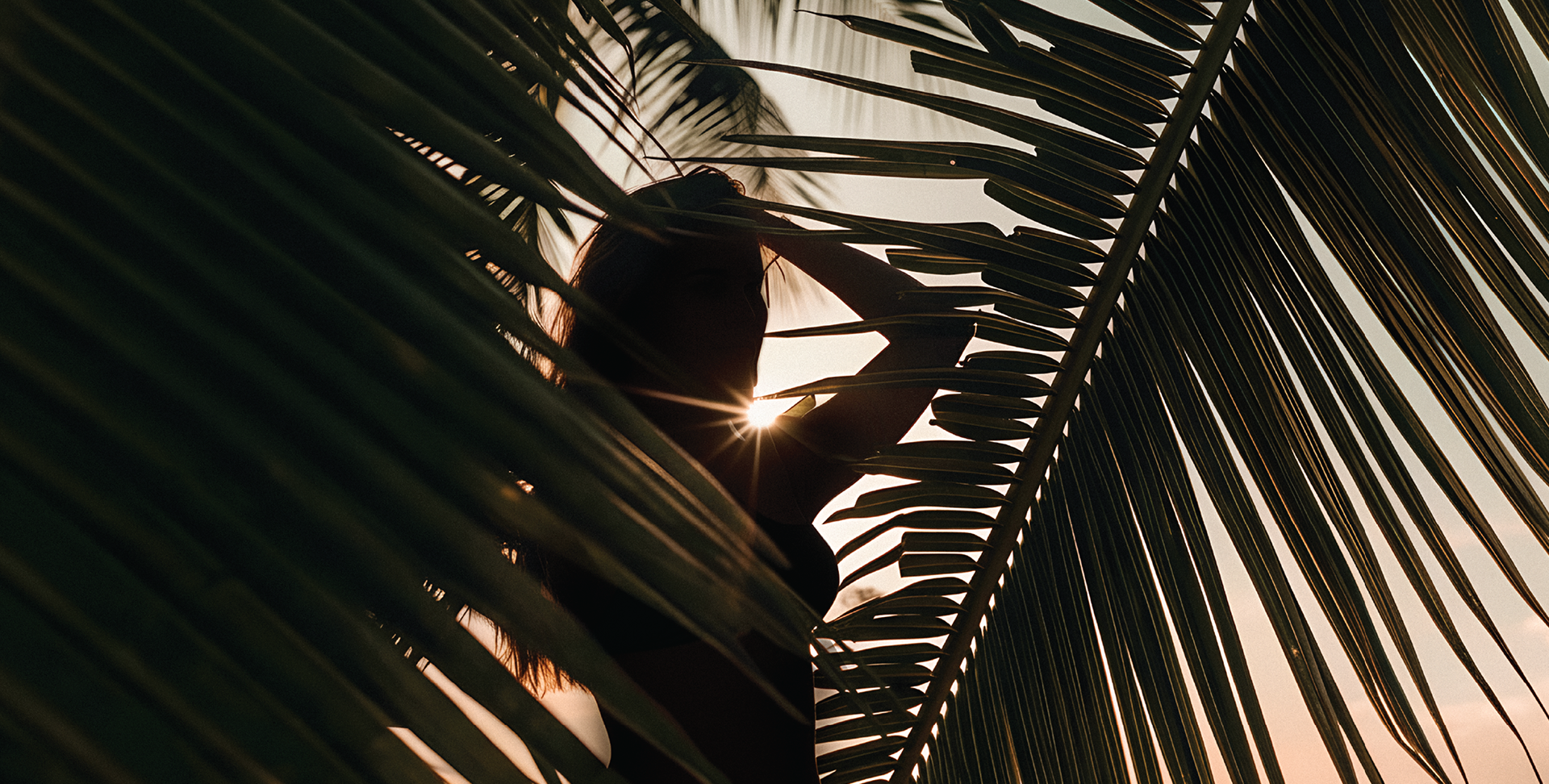 Artistic close-up of palm fronds backlighting a silhouette against a warm sunset sky, highlighting the tropical ambiance and relaxation found at Setai St. Maarten.